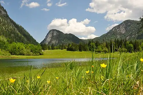 Desgleichen im Juni