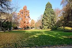 Rosenfelspark