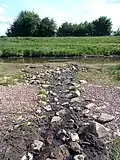 Sohlgleite aus dem Polder Lüsche