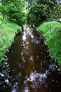 Die Nette in der Nähe der Lüthemühle