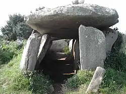 Allée couverte Ty-Lia auf der Île-Grande