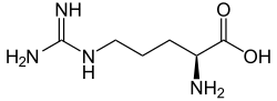 Struktur von Arginin