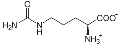 Citrullin