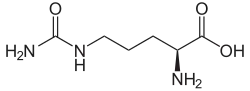 Strukturformel von Citrullin