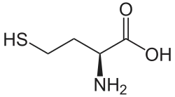 Struktur von L-Homocystein