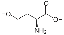 L-Homoserin