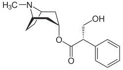 Hyoscyamin