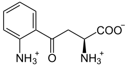 L-Kynurenin