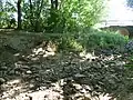 Ostufer des Lünerner Baches zwischen Mühlhausen u. Lünern, Fließrichtung NO,[A 2] August 2015