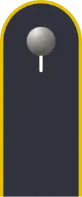 Schulterklappe der Jacke des Dienstanzuges für Luftwaffenuniformträger.