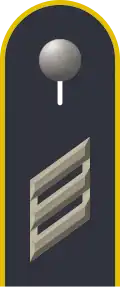 Dienstgradabzeichen auf der Schulterklappe der Jacke des Dienstanzuges für Luftwaffenuniformträger.