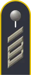 Dienstgradabzeichen auf der Schulterklappe der Jacke des Dienstanzuges für Luftwaffenuniformträger.