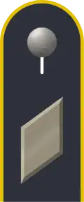 Dienstgradabzeichen auf der Schulterklappe der Jacke des Dienstanzuges für Luftwaffenuniformträger.