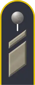 Dienstgradabzeichen auf der Schulterklappe der Jacke des Dienstanzuges für Luftwaffenuniformträger.