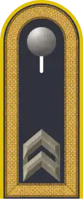 Dienstgradabzeichen auf der Schulterklappe der Jacke des Dienstanzuges für Luftwaffenuniformträger.