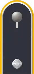 Dienstgradabzeichen auf der Schulterklappe der Jacke des Dienstanzuges für Luftwaffenuniformträger.