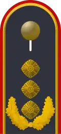 Dienstgradabzeichen auf der Schulterklappe der Jacke des Dienstanzuges für Luftwaffenuniformträger