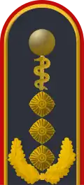 Dienstgradabzeichen auf der Schulterklappe der Jacke des Dienstanzuges für Luftwaffenuniformträger (Humanmedizin).
