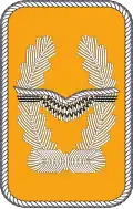 gestickte Kragenspiegel für Offiziere und Oberfähnriche (außer Generale und Offiziere im Generalstabsdienst) der Luftwaffe