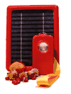 Solarleuchte mit 1,5-W-Modul