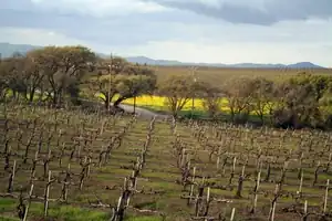 Livermore Valley Weinbaugebiet