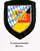 Internes Verbandsabzeichen