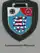 Internes Verbandsabzeichen