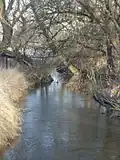 Zwischen Linnich und Brachelen