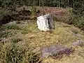 Der weiße Stein von Monteneuf
