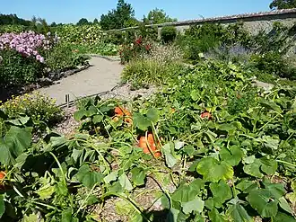 Nutzgarten