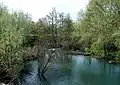 Der Fluss Liane in Questrecques
