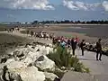 Passe aux boeufs zur Île Madame