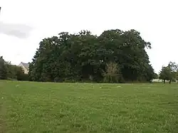Turmhügelburg Jubin