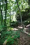 Pérolles-See: Fels­formation