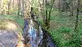 Lache vor dem Zufluss des Gersprenzarms