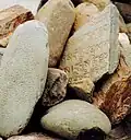 Manisteine in Ladakh