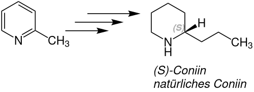 Übersichtsreaktion der Ladenburg-Synthese