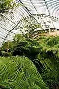 Abzweigung zwischen dem "Jardin d'hiver" und der Orangerie