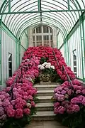 Treppen zu dem "Pavillon des palmiers"