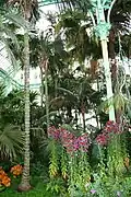 Innenansicht des "Serre du Congo"