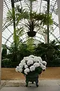Abzweigung zwischen dem "Jardin d'hiver" und der Orangerie