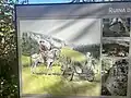 Infotafel