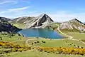 See Lago Enol