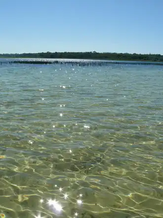 Laguna Blanca