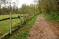 Ein Weg des Parks