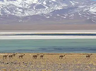 Laguna Santa Rosa