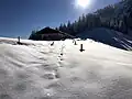 Winteraspekt