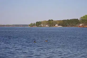 See bei Hubquarter Creek in North Carolina