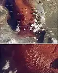 Satellitenbild des südlichen Natronsees in Tansania. Im vergrößerten Ausschnitt sind im flachen Wasser helle Salzkrusten sichtbar
