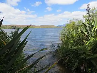 Blick auf den See von Mangakino aus
